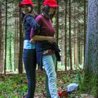 Pfila 2013