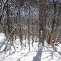 Snowday 2011